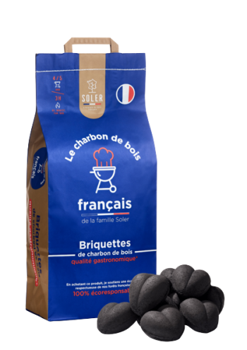 Uploads SOLER Gastronomique Briquettes 75KG Produit 724x1024